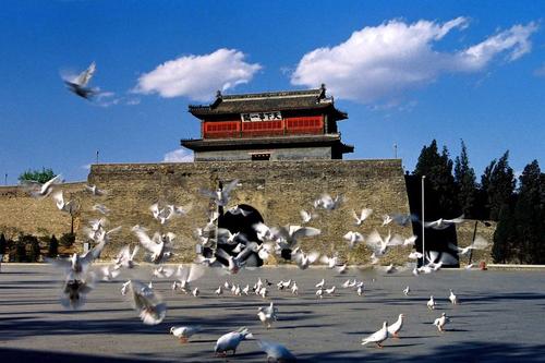 山海關(guān)區(qū)創(chuàng)建國家全域旅游示范區(qū)